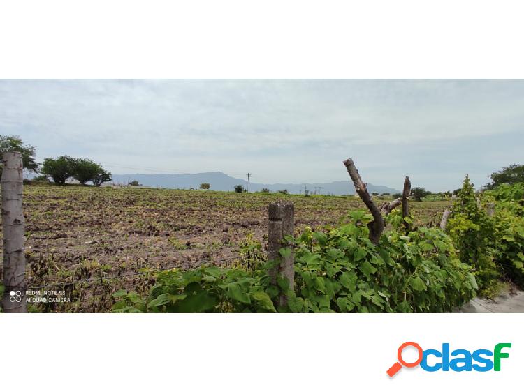 MACROLOTE EN VENTA EN TEQUESQUITENGO "50,000"