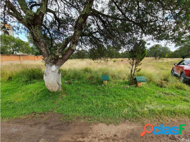 Venta Lote Campestre Carr Apizaco Tlaxco Cabañas del Abuelo