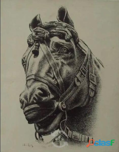 Preciosa Fotografía Cabeza del caballo de Carlos IV