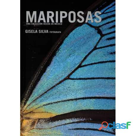 MARIPOSAS UNA COLECCION HECHA EN MEXICO Autor GISELA SILVA