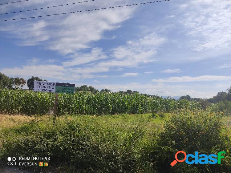 Terreno 5,000 m2 en venta a pie de carretera Irapuato-Silao