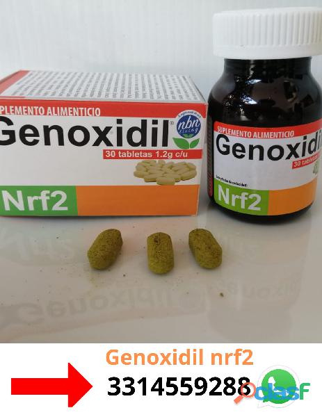 Multi Nutrientes Naturales nrf2 antioxidante