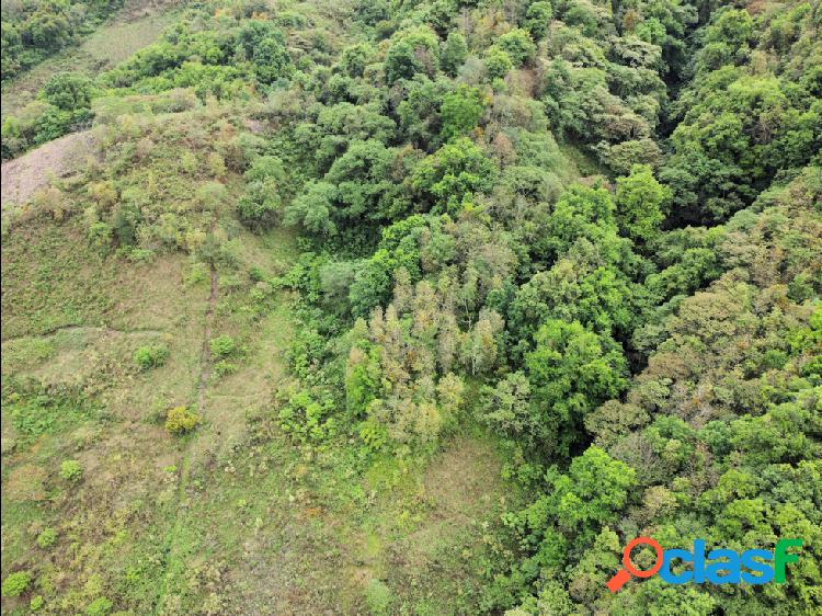 Oferta de terreno de 4 hectáreas en Huauchinango