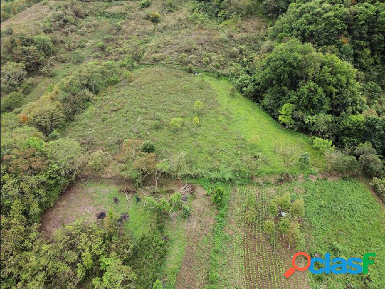 Oferta de terreno de 6000 mts2 en Huauchinango