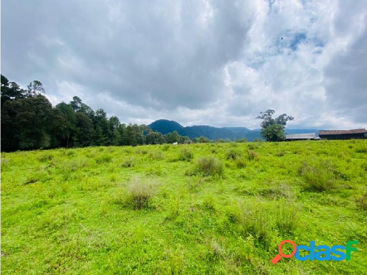 TERRENO EN VENTA, SAUCOS, VALLE DE BRAVO.