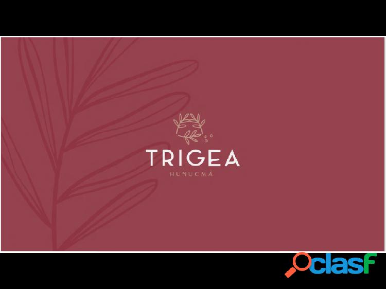 Lotes en venta TRIGEA | Hunucma |