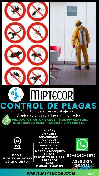 Fumigación y control de plagas