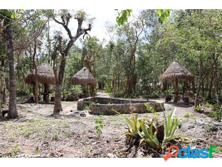Terreno con cenotes ideal para negocio Turístico