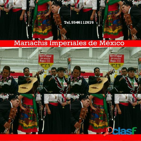 mariachis en San Bartolo Ameyalco 5546112676 telefono